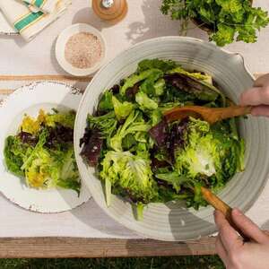 Basic Green Salad with Vinaigrette