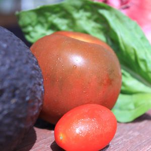 Brown Tomato, Basil and Avocado Salad