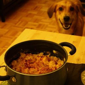 Cauliflower Curry