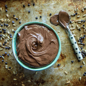 Chocolate Sunflower Butter Spread recipes