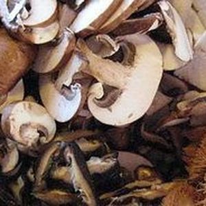 Creamy Wild Mushroom Soup