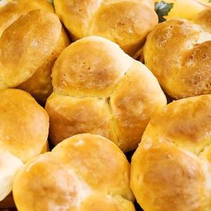 Dinner Rolls