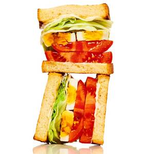 Egg Lettuce Tomato Sandwich