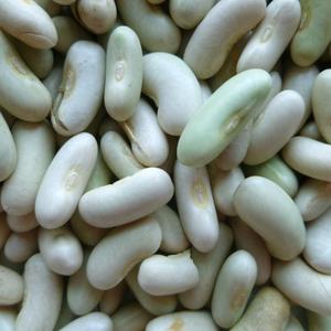 Flageolet Bean Salad With Fennel, Orange, And Tapenade Toasts