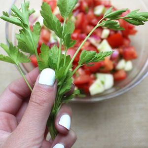 Fresh Tomato & Cucumber Salad