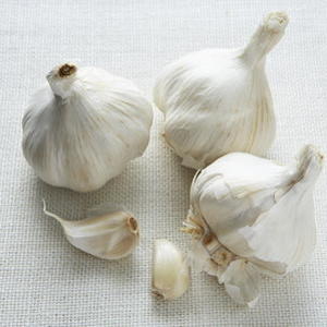 Garlic Oil