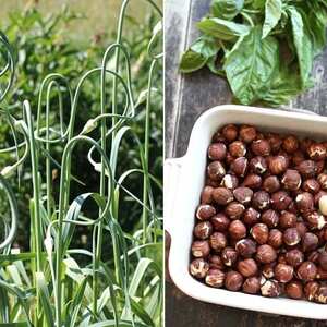 Garlic Scape and Hazelnut Pesto