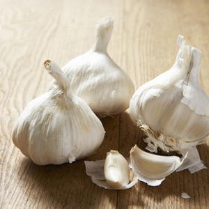 Garlic Purée