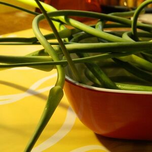 Garlic Scape Pesto