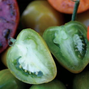 Green Tomato Salsa