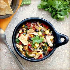 Harvest Chicken and Vegetable Tortilla Soup