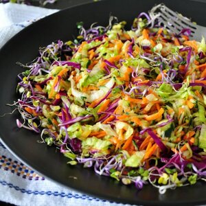 Healthy Vegetable Slaw