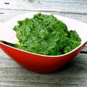 Healthy & Delicious: Spinach and Cannellini Bean Dip Recipe