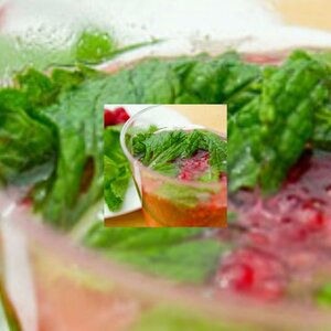 Healthy Raspberry Mojito