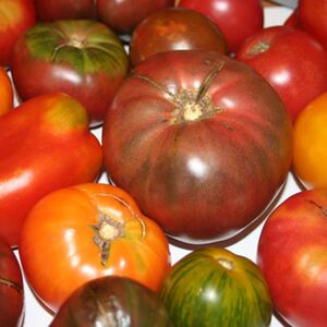 Heirloom Tomato Ceviche