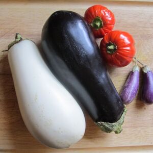 Indian Eggplant and Tomato Casserole