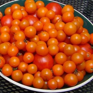 Kick-Ass Tomato Salad