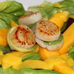 MANGO SALAD AND SCALLOP AVOCADO SANDWICH