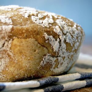 No-Knead Spelt Bean Bread