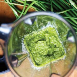 Pasta with Garlic-Scape Pesto