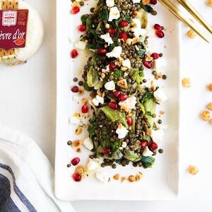 Pomegranate, Goat Cheese and Warm Lentil Salad