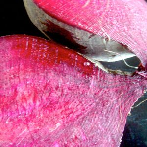 Purloined Beet and Lentil Salad