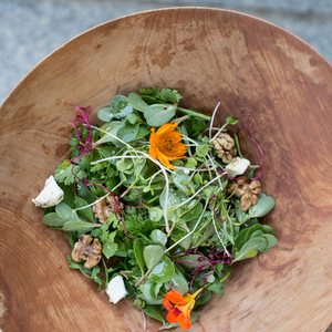 Purslane and Herb Salad