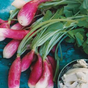 Radishes with Creamy Anchovy Butter