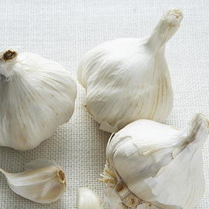 Roasted Garlic Purée