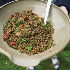 Sallad på Puylinser (Puy Lentil Salad)