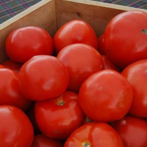 Slow-Roasted Tomato Pesto