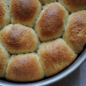 Sour Cream Dinner Rolls