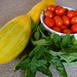 Summer Squash, Tomato, and Basil Pasta