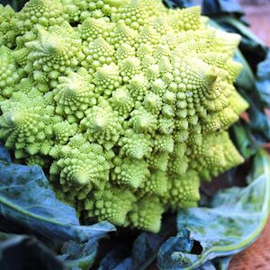 Super Healthy Romanesco Salad Recipe