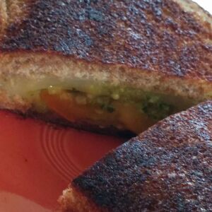 Tomato and Pesto Grilled Cheese