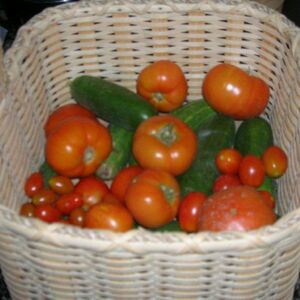 Tomato Basil Soup