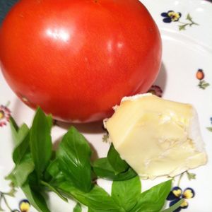 Tomato & Brie Pasta