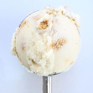 Vanilla bean oatmeal ice cream with oat cookie crumbs