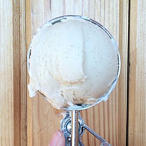 Vanilla bean soy ice cream