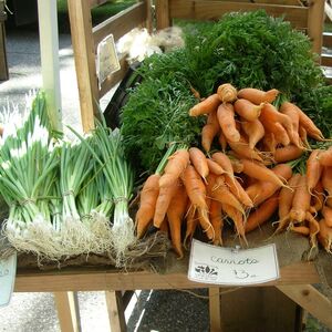 carrot soup