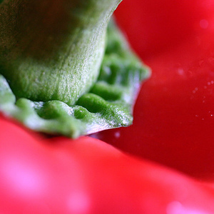 red pepper soup